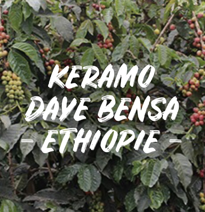 KERAMO DAYE BENSA - ETHIOPIE 250g